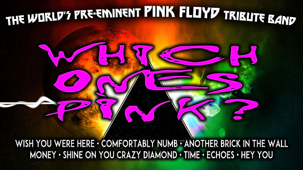 WHICH ONE'S PINK - DMH BANDS - 1920X1080.jpg