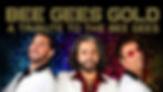 Bee Gees Gold - image
