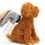 Thumbnail: Portable Electric Pet Hair Clippers Vacuum Best Pet Grooming