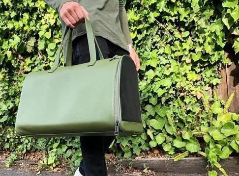 Thumbnail: FRANK - Olive