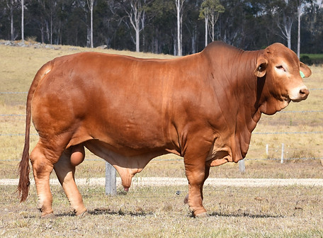 LOT 280.JPG