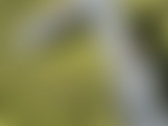 Fun Summer Learning Activities for Little Ones at Home