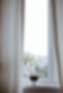 curtain+cleaning+5.png