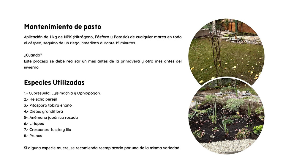 Miniatura: Conociendo y Cuidando mi Jardín