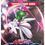 Thumbnail: Paradox Rift Booster Box - SV