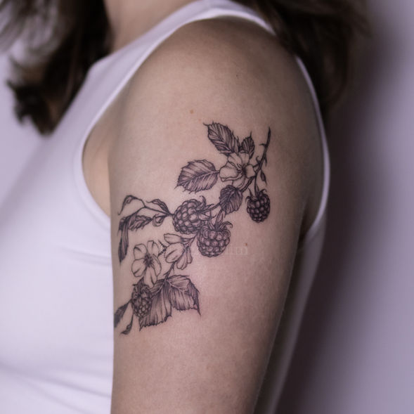 Custom Flowering Blackberry Vine fineline tattoo, black and grey illustration on upper arm, by Seraphim in Seattle, WA.