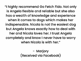 Go Fetch Fido dog walker Leighton Buzzard reviews