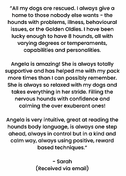 Go Fetch Fido dog walker Leighton Buzzard reviews
