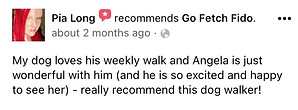 Go Fetch Fido dog walker Leighton Buzzard reviews
