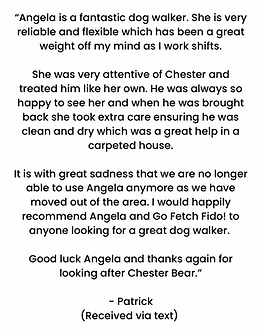 Go Fetch Fido dog walker Leighton Buzzard reviews