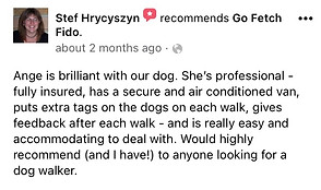 Go Fetch Fido dog walker Leighton Buzzard reviews