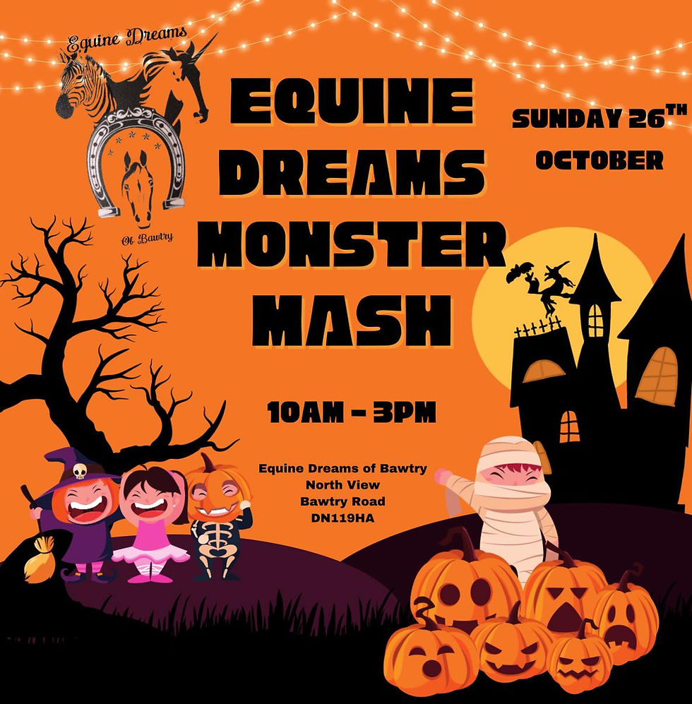 🦇🧟🎃 It’s An Equine Dreams Monster Mash! 🎃🧟🦇