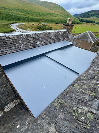 Flat Roof pic 5.JPG