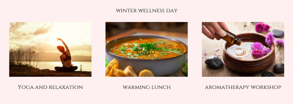 winter wellness day photos.png