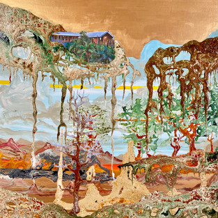 OASIS 70 X 50