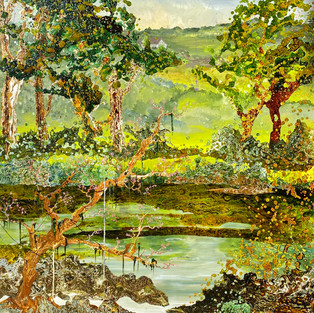 SOLD GLENELG RIVER NORMANBY 153 X 102