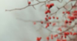 Berry Branchen