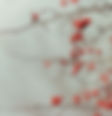 Berry Branches
