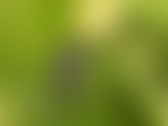 Confirmado o 4º óbito por dengue em Tenente Portela; vítima é uma gestante, da Terra Indigena