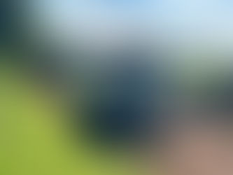 Idosa perde controle veículo e capota em estrada lateral a BR 285 em Santo Antônio das Missões