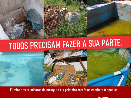 Tenente Portela: Todos precisam fazer a sua parte no combate à dengue