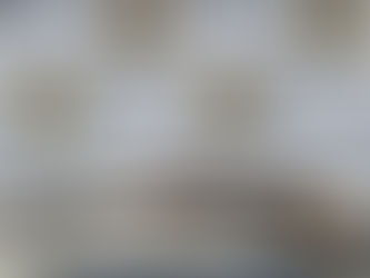 Brigada Militar prende homem por posse irregular de arma de fogo em Ijuí