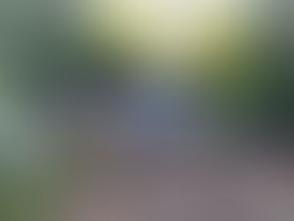 Incêndio atinge aviário no interior de Tenente Portela