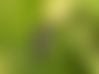 Morador de Três de Maio é a mais uma vítima fatal da dengue no RS em 2024