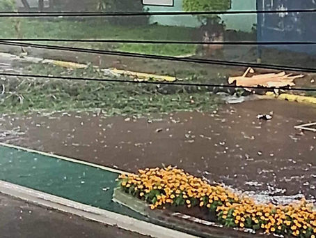 Árvore que havia sido atingida por raio, caiu nesta madrugada com a força do vento em Três Passos