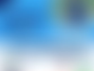 17ª FEICAP: Aberta as inscrições para o 11º Cãocurso - seu pet merece brilhar!