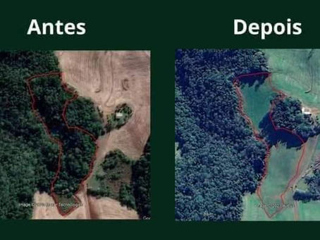 3º BABM flagra destruição de vegetação, pertencente ao bioma Mata Atlântica em Machadinho