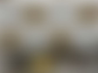 Mulher é presa por tráfico de drogas e porte de arma de fogo em Santo Ângelo