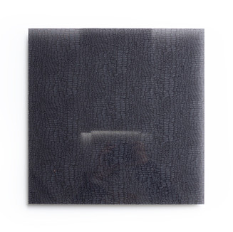 爬虫類の革模様の布を封入