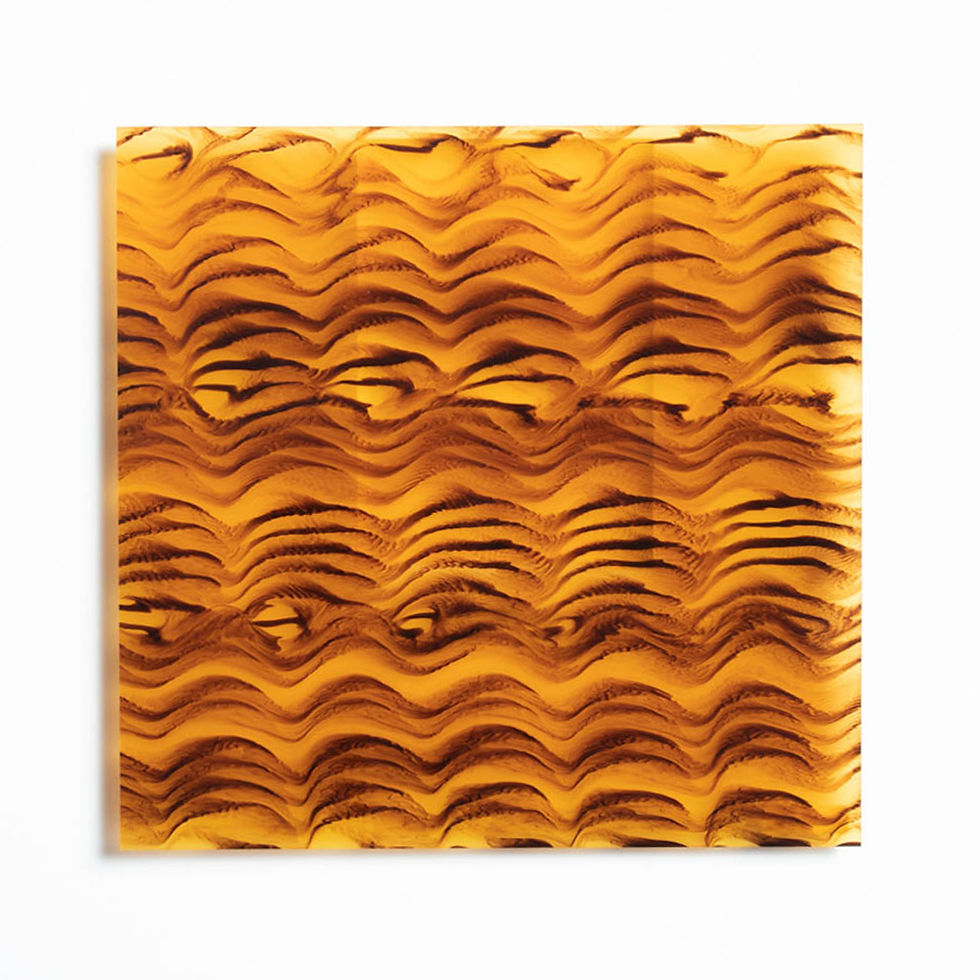 Tokyoacryl A-300-0019A3