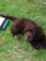 Lola