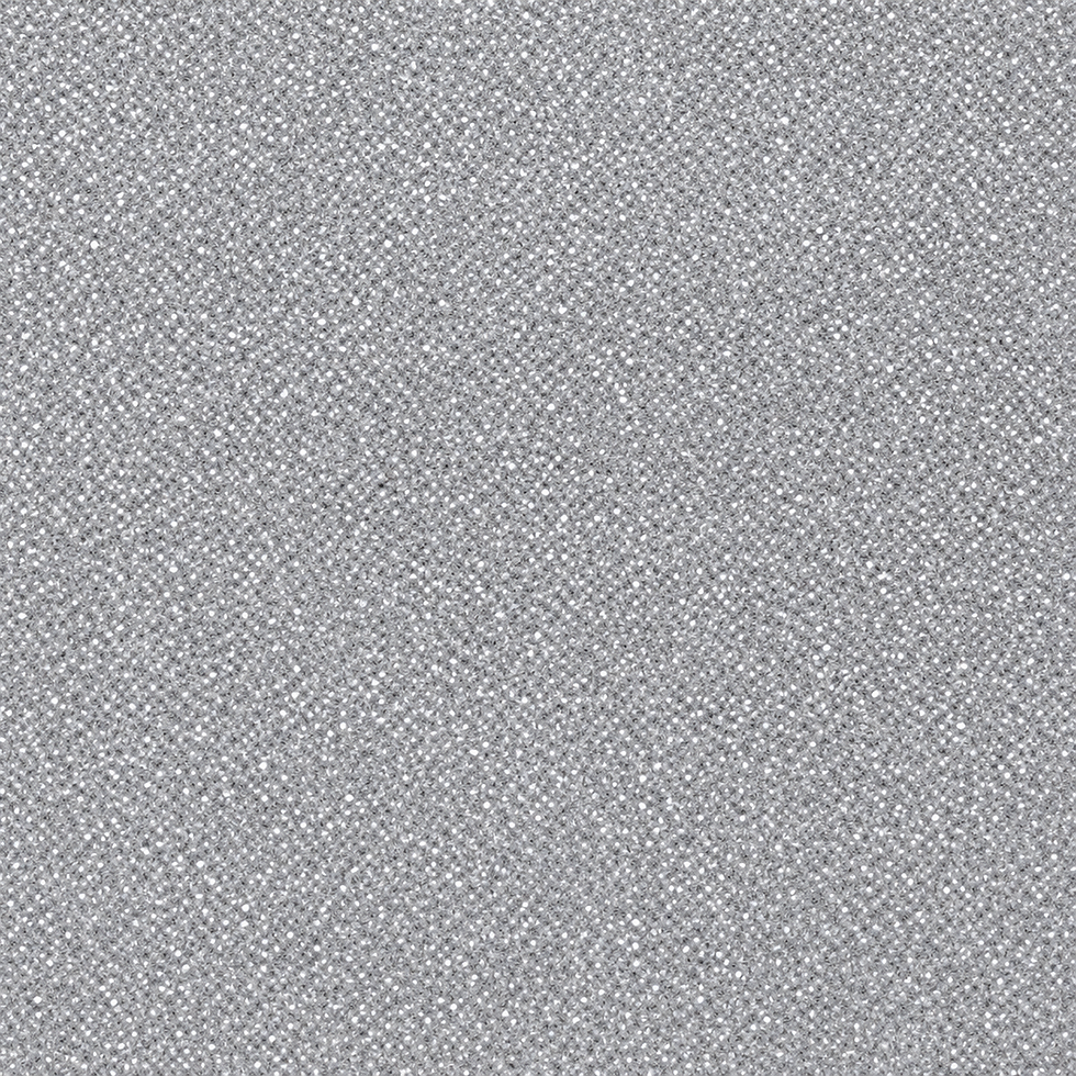 M210 - Argent_HD.jpg