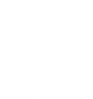 bornsai_logo.png