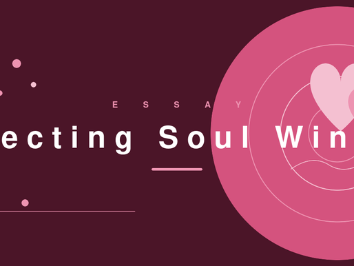 PERFECTING SOUL WINNING