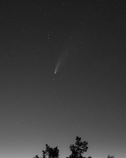 NEOWISE bw 1
