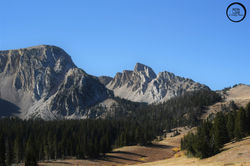 Bridgers E