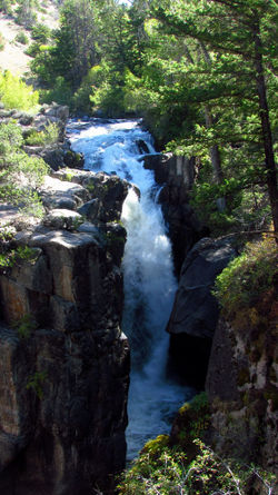 Shell Falls