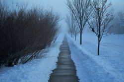 der Nebel