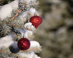 ornaments B