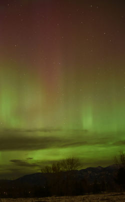 Aurora Borealis D