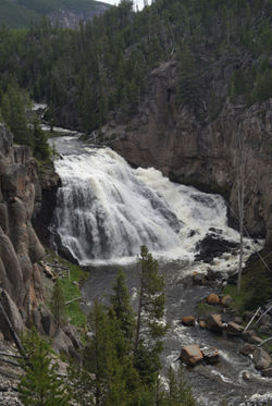 Gibbon Falls May