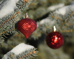 ornaments