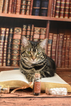 Oliver and book