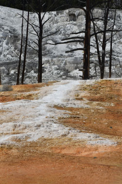 Yellowstone