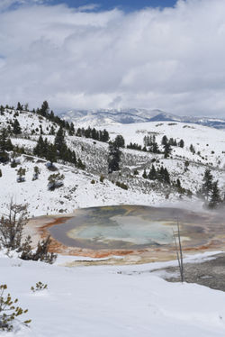 Yellowstone E