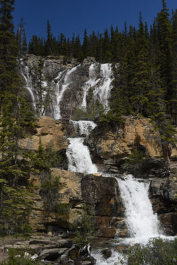 Tangle Falls